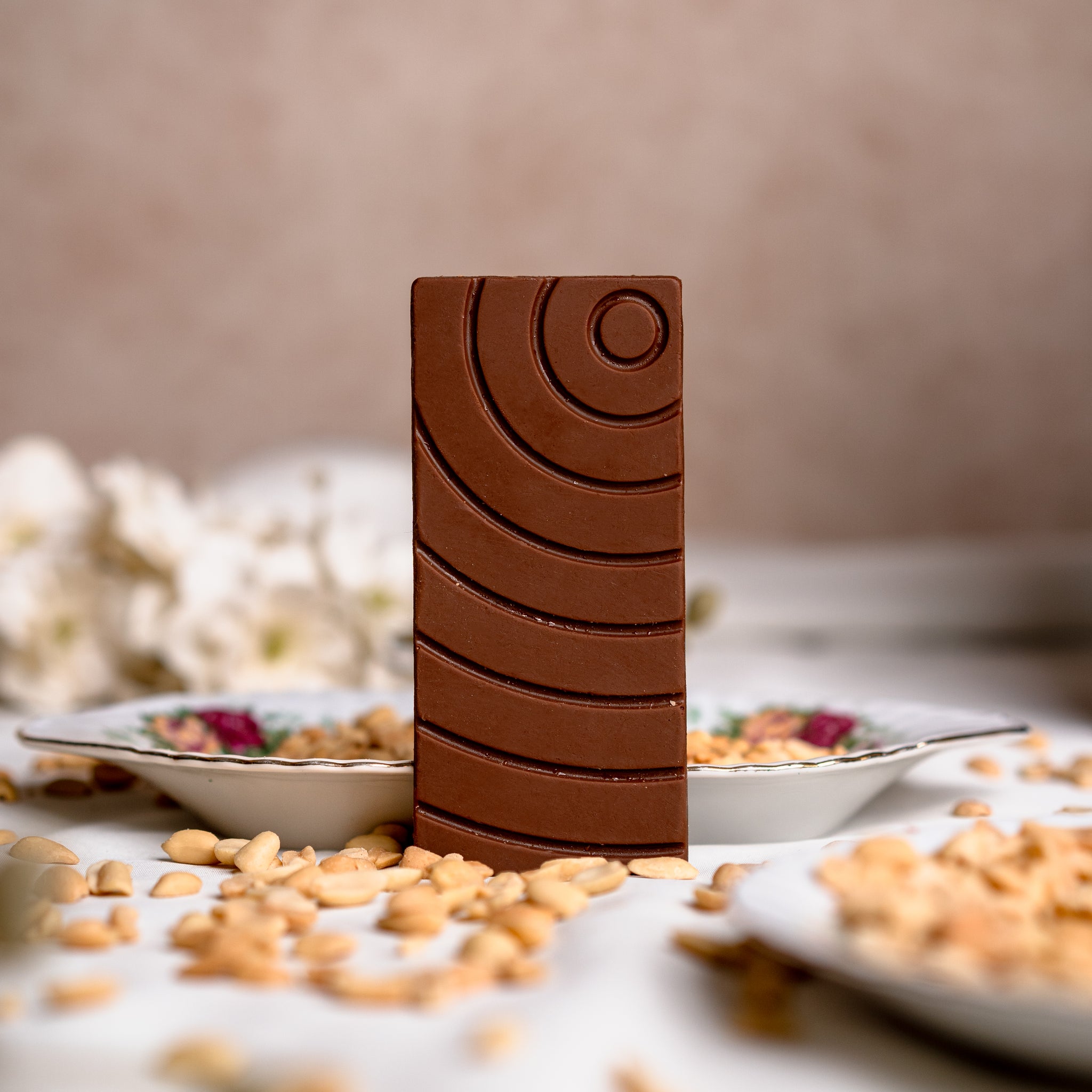 Salted Peanut Gianduja Dark Chocolate 54% Cavasachocolates